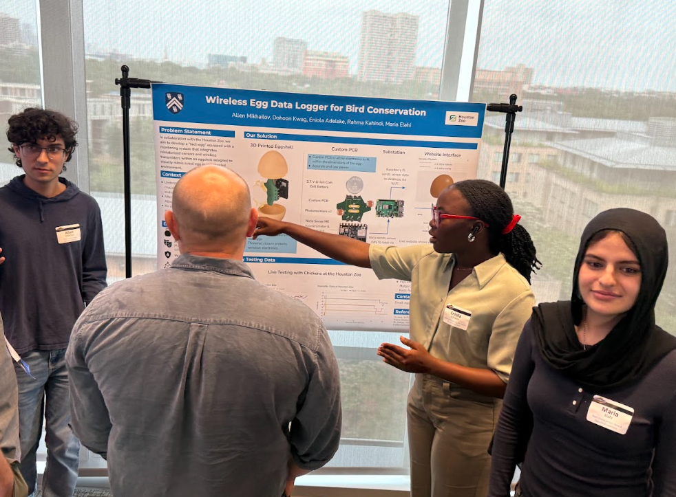 Eggcellent Imposters 